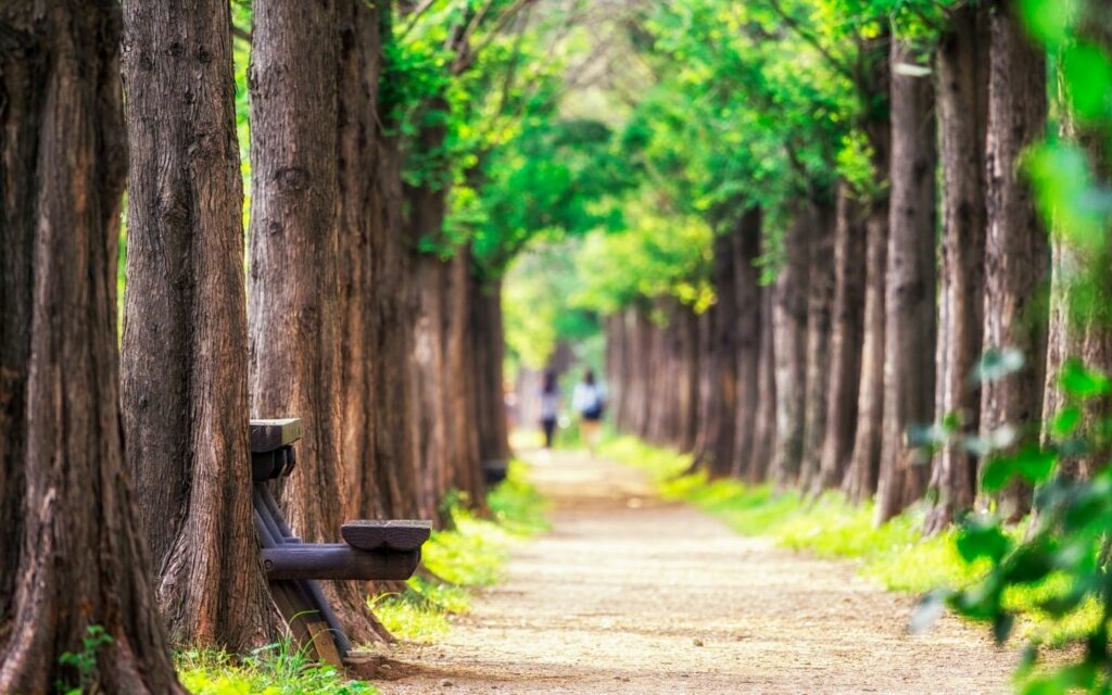 Bài viết đầu tiên